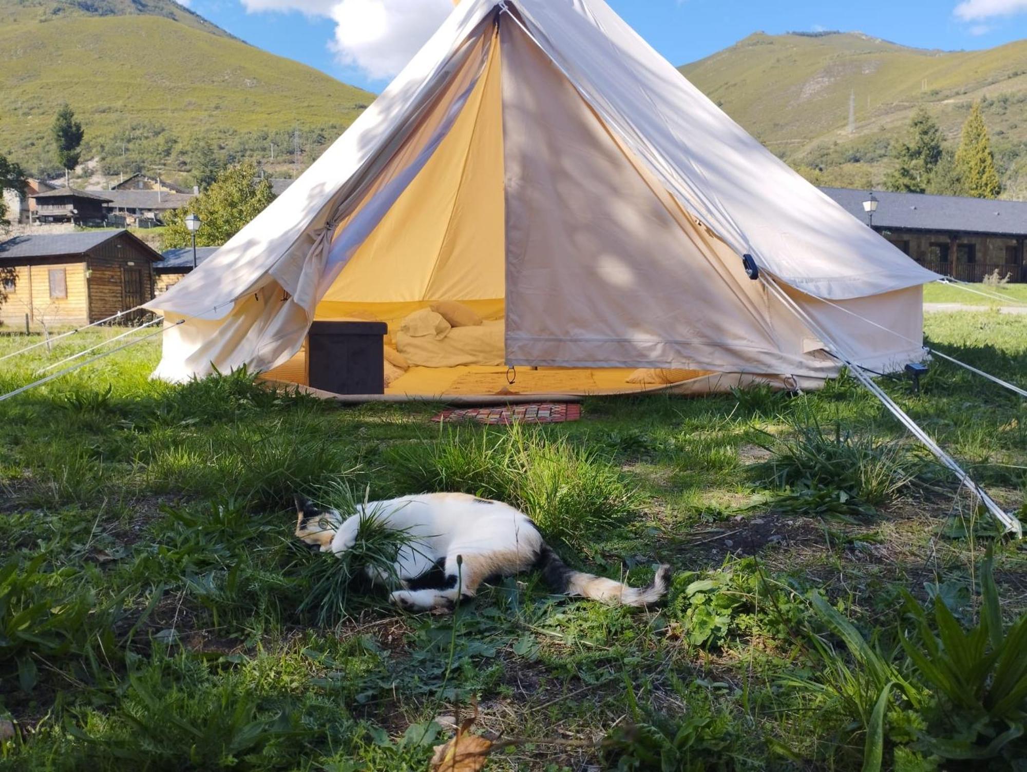 Camping La Zarapica - Palacios Del Sil מראה חיצוני תמונה